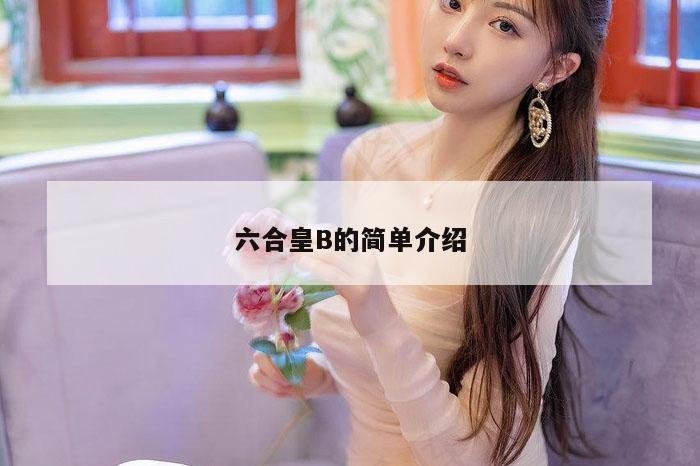 六合皇B的简单介绍